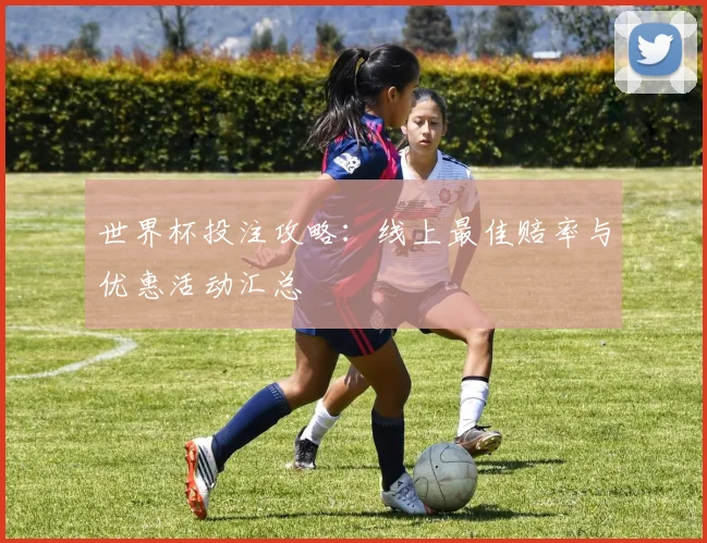 世界杯投注攻略：线上最佳赔率与优惠活动汇总