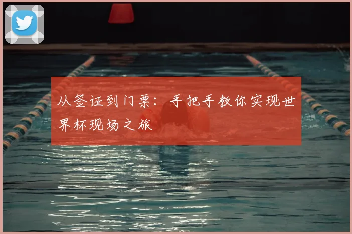 从签证到门票：手把手教你实现世界杯现场之旅
