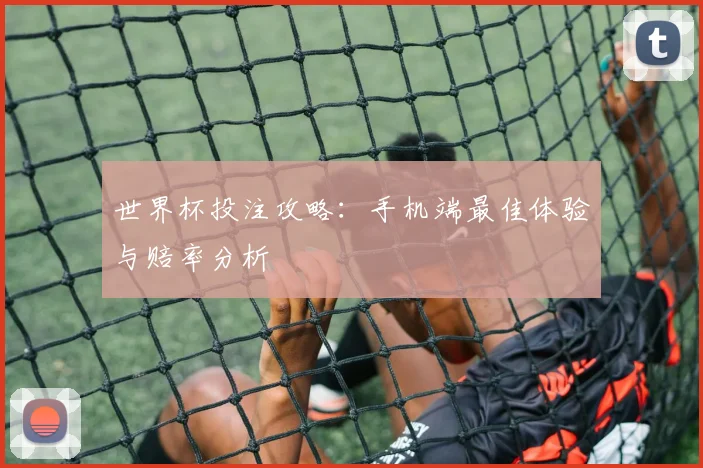 世界杯投注攻略：手机端最佳体验与赔率分析