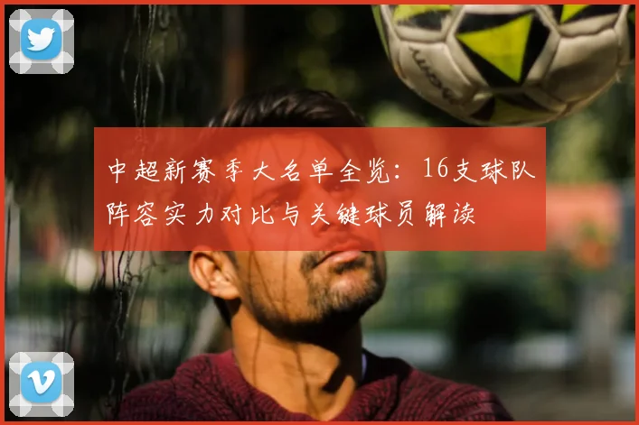 中超新赛季大名单全览:16支球队阵容实力对比与关键球员解读