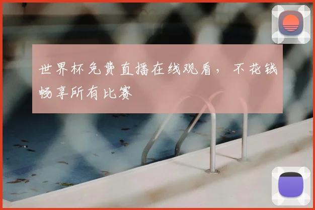 世界杯免费直播在线观看,不花钱畅享所有比赛